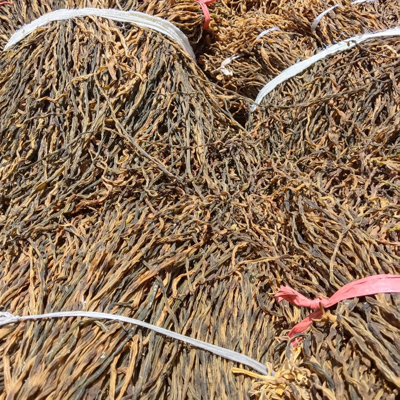 优质干豆角脱水长豆角，大量有货，已打包好，量大从优
