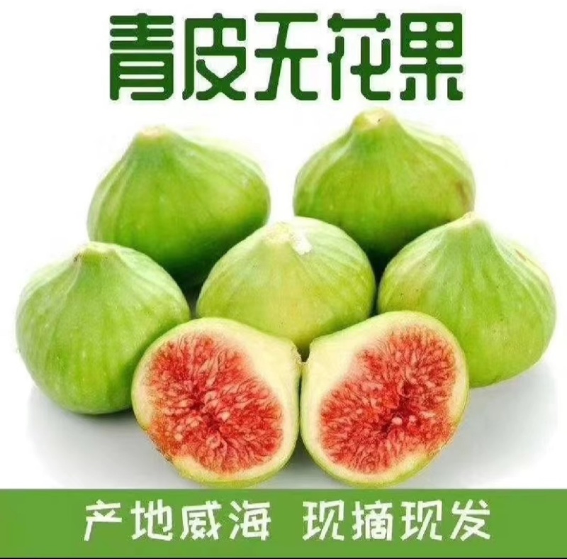 威海荣成青皮无花果，鲜无花果产地直发品质保证