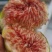 威海荣成青皮无花果，鲜无花果产地直发品质保证