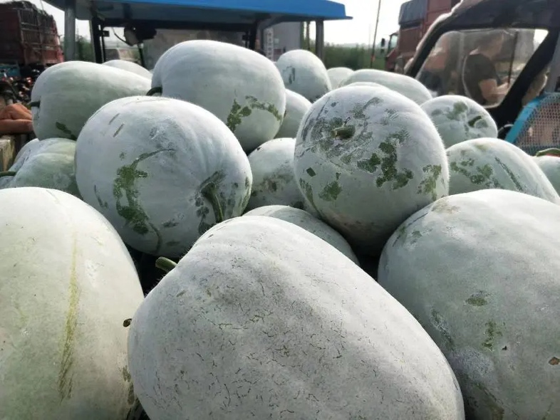 冬瓜榨汁搭配示意图