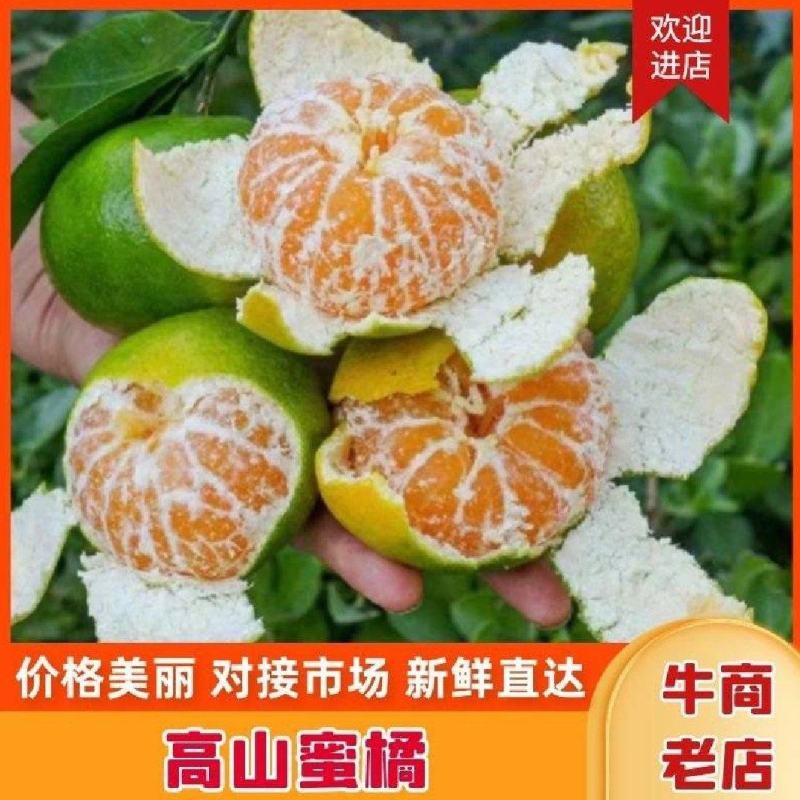 湖北高山早熟蜜橘皮薄汁多甜蜜无渣规格齐全坏烂包赔