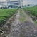 上海本地路天西瓜包熟包甜，需要老板来电、、、