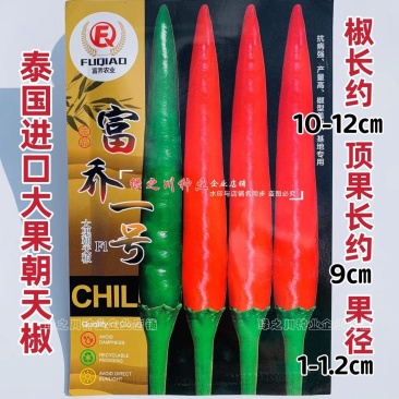 云南热销富乔一号朝天椒种子大果朝天椒种籽高产抗病强