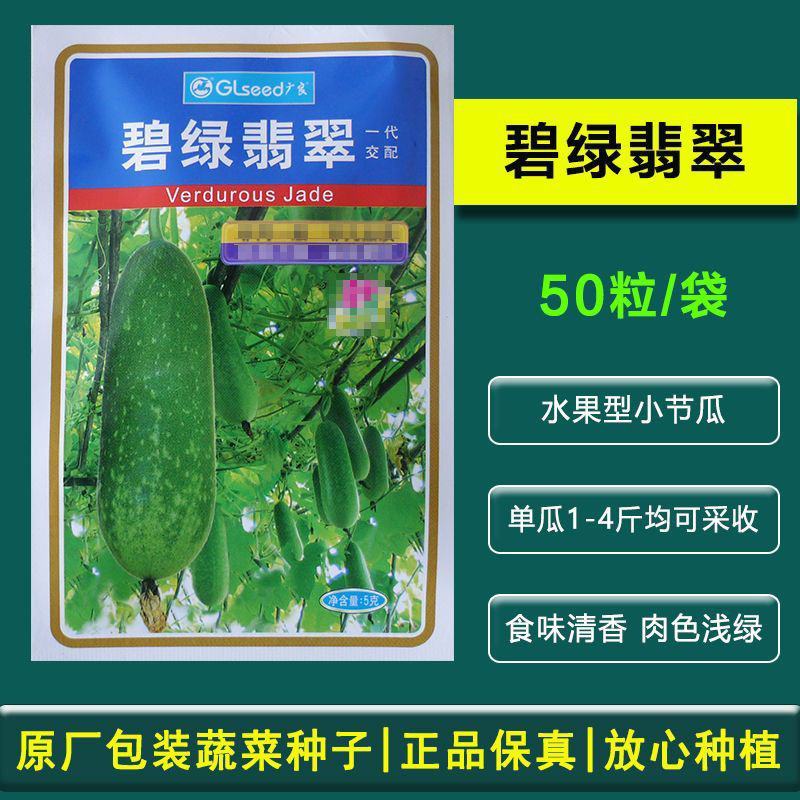 碧绿翡翠小冬瓜种子水果小节瓜种子中熟肉厚腔小