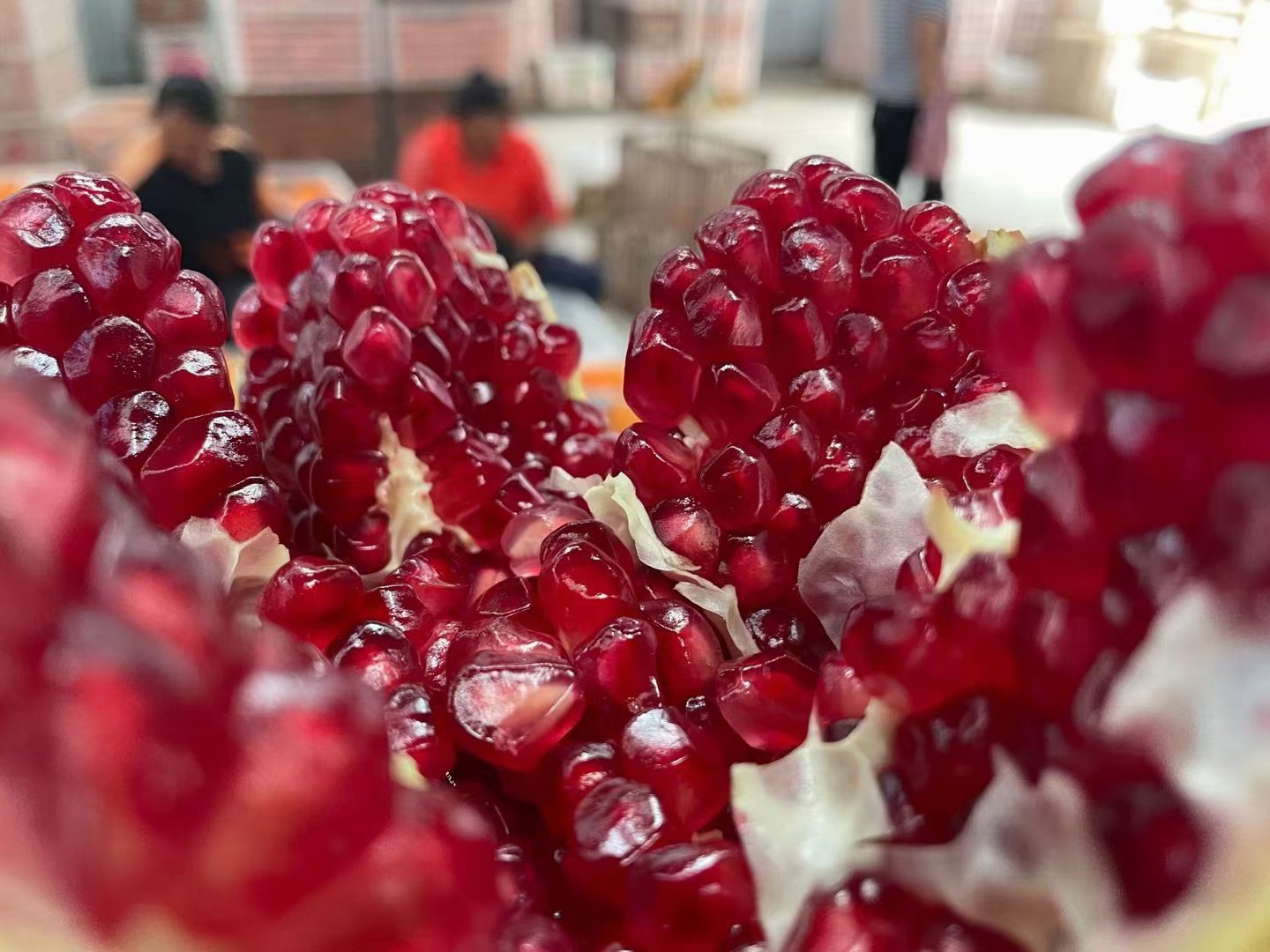 会理软籽石榴特写