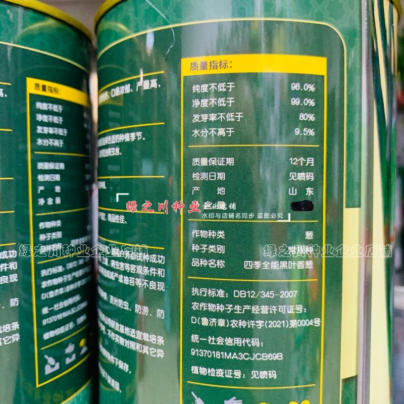 四季全能黑叶香葱种子叶色黑绿耐寒耐热抗倒小钢葱种子抗病