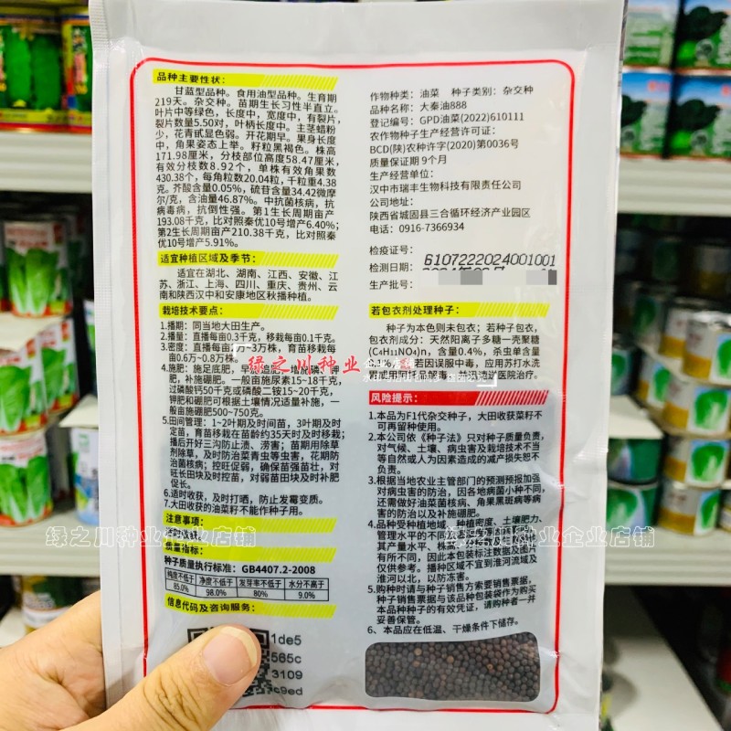 陕西油菜种子大秦油888油菜籽种子抗病抗倒耐寒出油高油菜