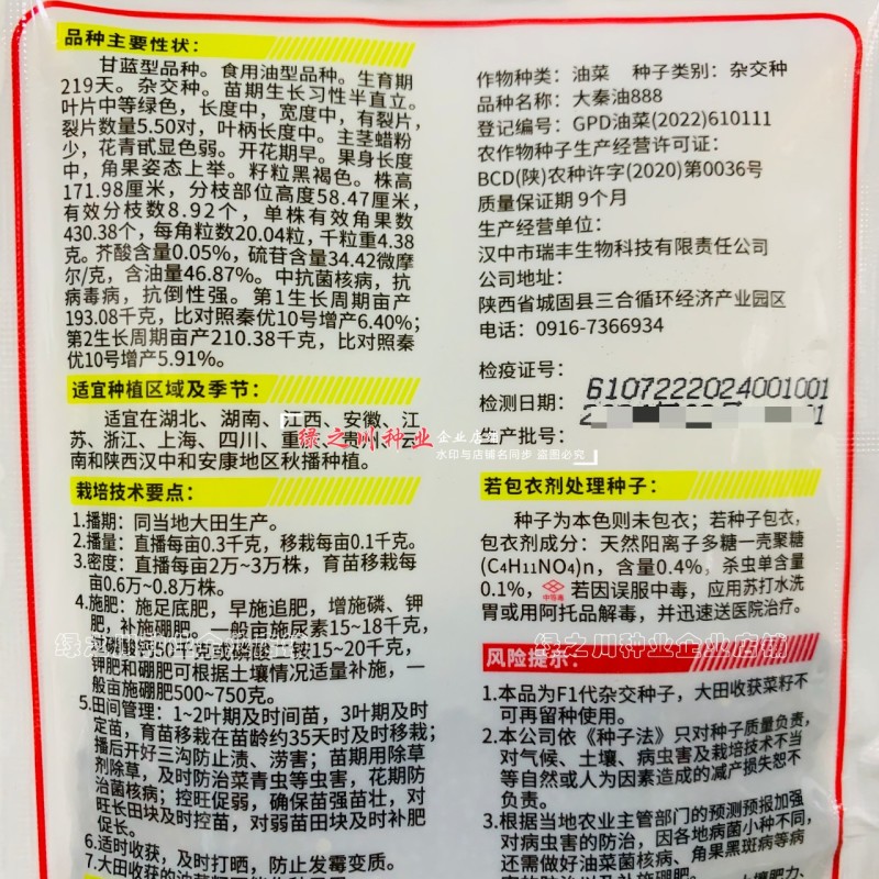 陕西油菜种子大秦油888油菜籽种子抗病抗倒耐寒出油高油菜