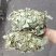 金钱草