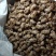 新鲜蝉蜕量大从优随时有货欢迎电话洽谈