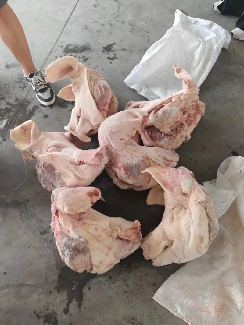 母猪一级带耳头，工厂直发，全新货