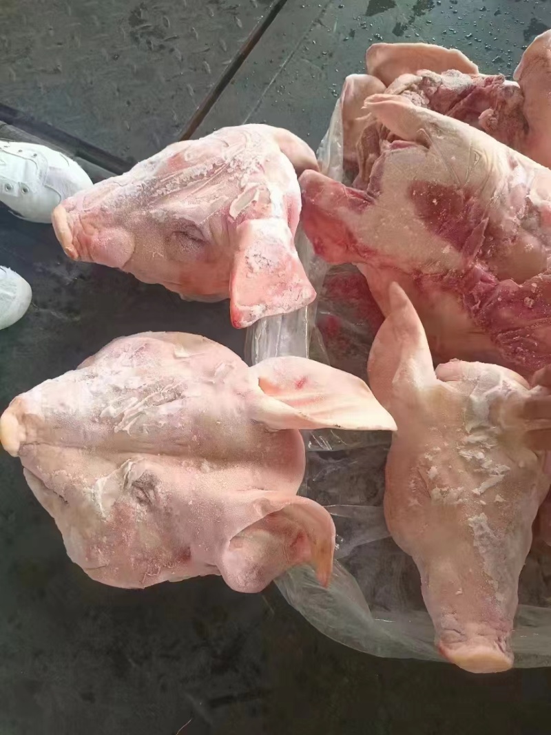 猪头，肥猪带耳猪头