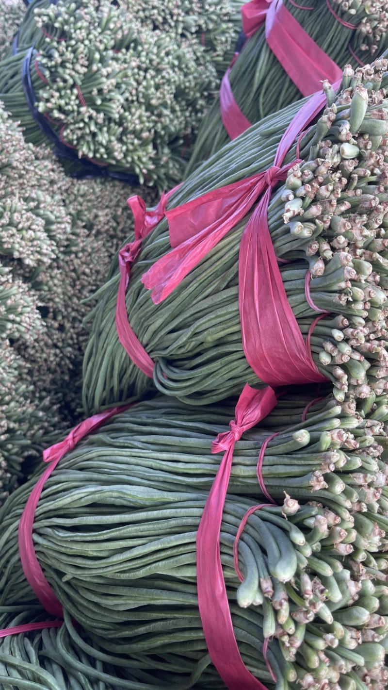 东北优质长豆角豇豆大量供应，保证质量，代发全国。