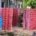 红毛丹4567号果品种齐全产地代办支持落地配供应全国市场