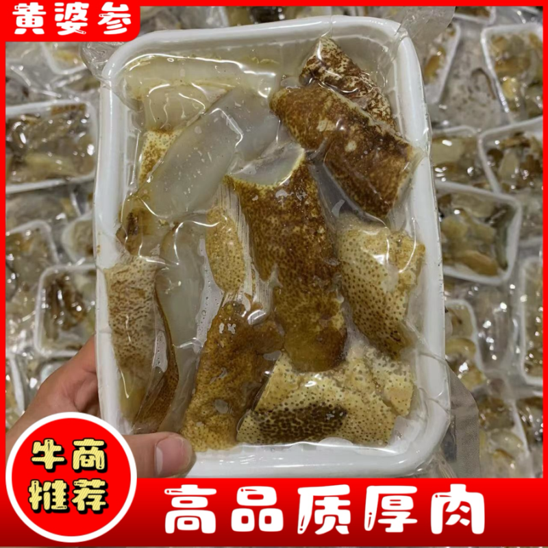 【牛商推荐】高品质厚肉，黄婆参，一手货源，可批发可零售