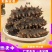【牛商优选】大连海参辽参，肉质肥厚内筋粗壮，大量有货