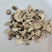 白芍白芍片白芍次片打粉用