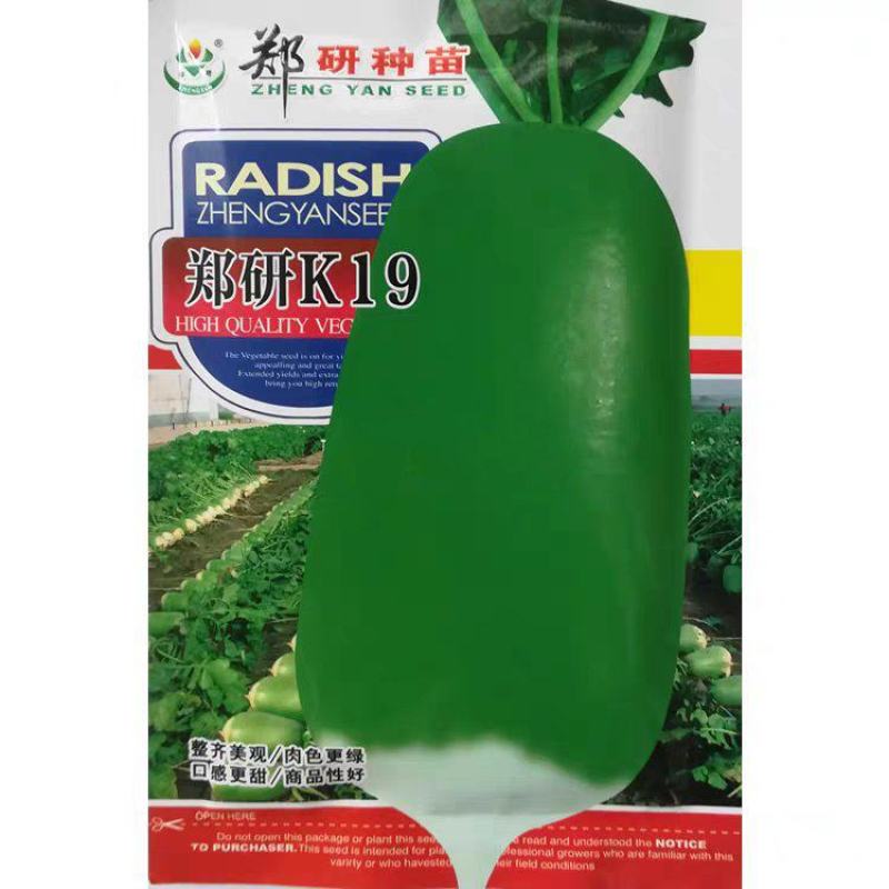 郑研K19萝卜种子青萝卜种子青皮青肉脆甜味美