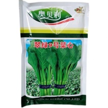 翠绿9号菜心种子中晚熟圆叶菜苔种籽叶片椭圆亮绿茎秆油绿