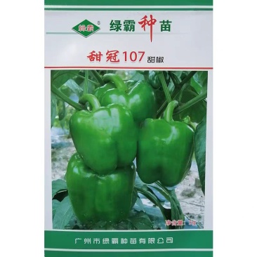 绿霸甜冠甜椒种子中早熟大果甜椒果绿光亮肉厚耐贮运