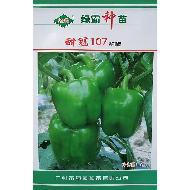 绿霸甜冠甜椒种子中早熟大果甜椒果绿光亮肉厚耐贮运