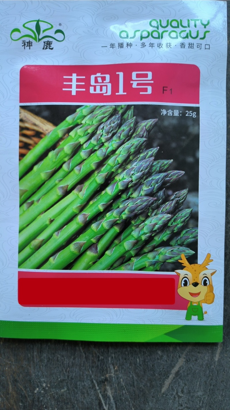 早收芦笋品种丰岛一号耐低温出笋早粗壮丰产