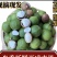 新鲜生夏威夷果新鲜坚果非干果带青皮自产自销原味无添加广要
