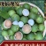 新鲜生夏威夷果新鲜坚果非干果带青皮自产自销原味无添加广要