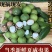 新鲜生夏威夷果新鲜坚果非干果带青皮自产自销原味无添加广要