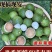 新鲜生夏威夷果新鲜坚果非干果带青皮自产自销原味无添加广要