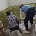 四川半边红，口感脆甜，产地直发，电商，市场需要的来