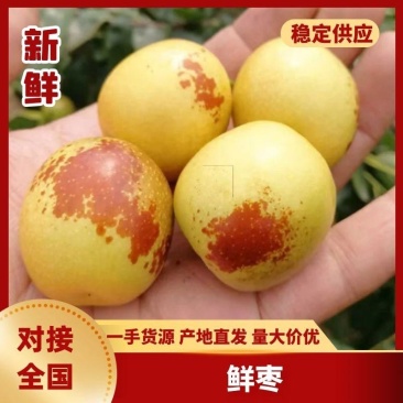 沾化枣脆王鲜枣大量现货上市中量大从优支持一件代发