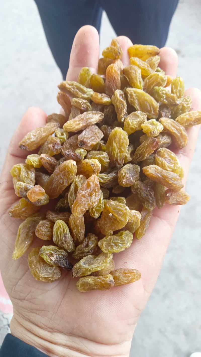 吐鲁番绿宝石葡萄干绿葡萄干.麻子葡萄干无核电商快销