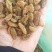 吐鲁番绿宝石葡萄干绿葡萄干.麻子葡萄干无核电商快销
