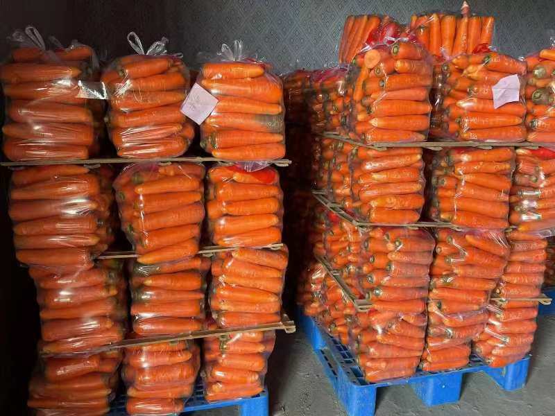 精品胡萝卜产地直发品质保证量大从优一手货源