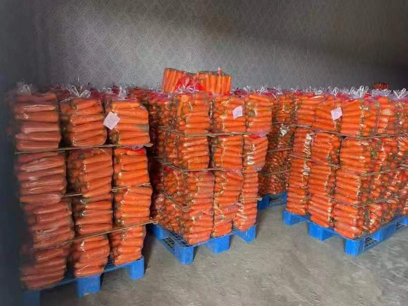 精品胡萝卜产地直发品质保证量大从优一手货源
