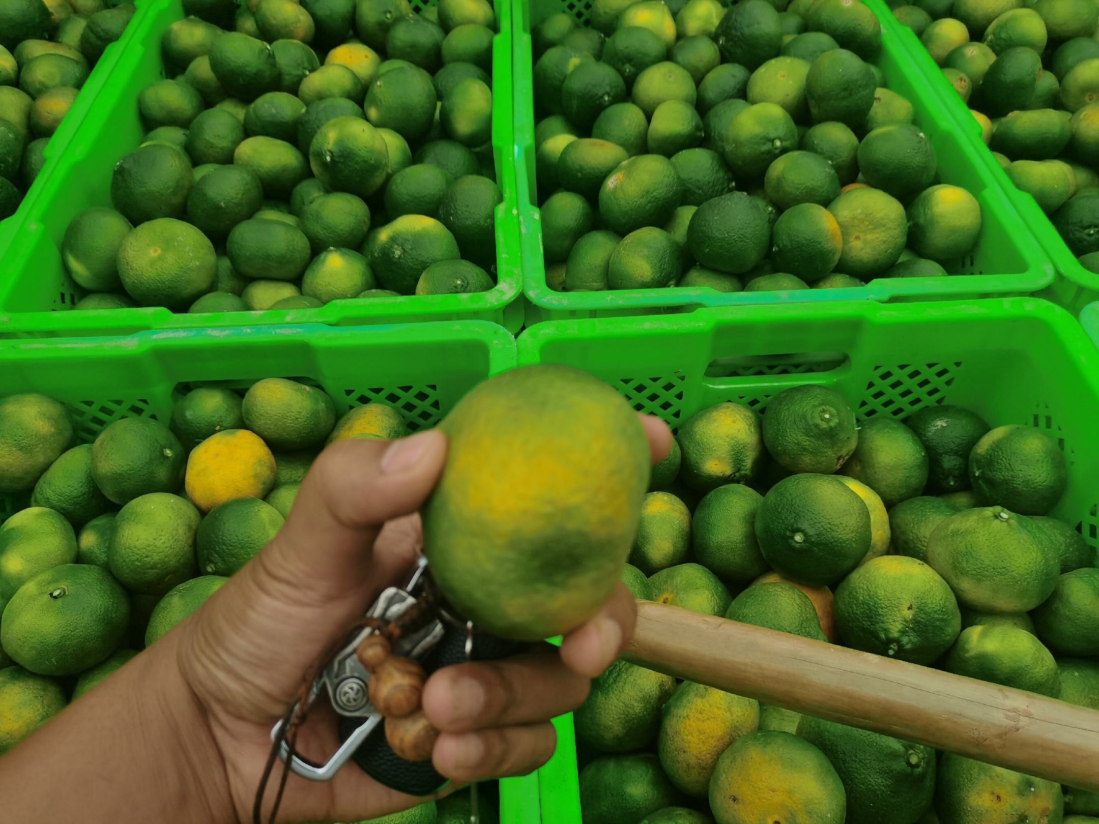 秭归脐橙深加工产品展示柜