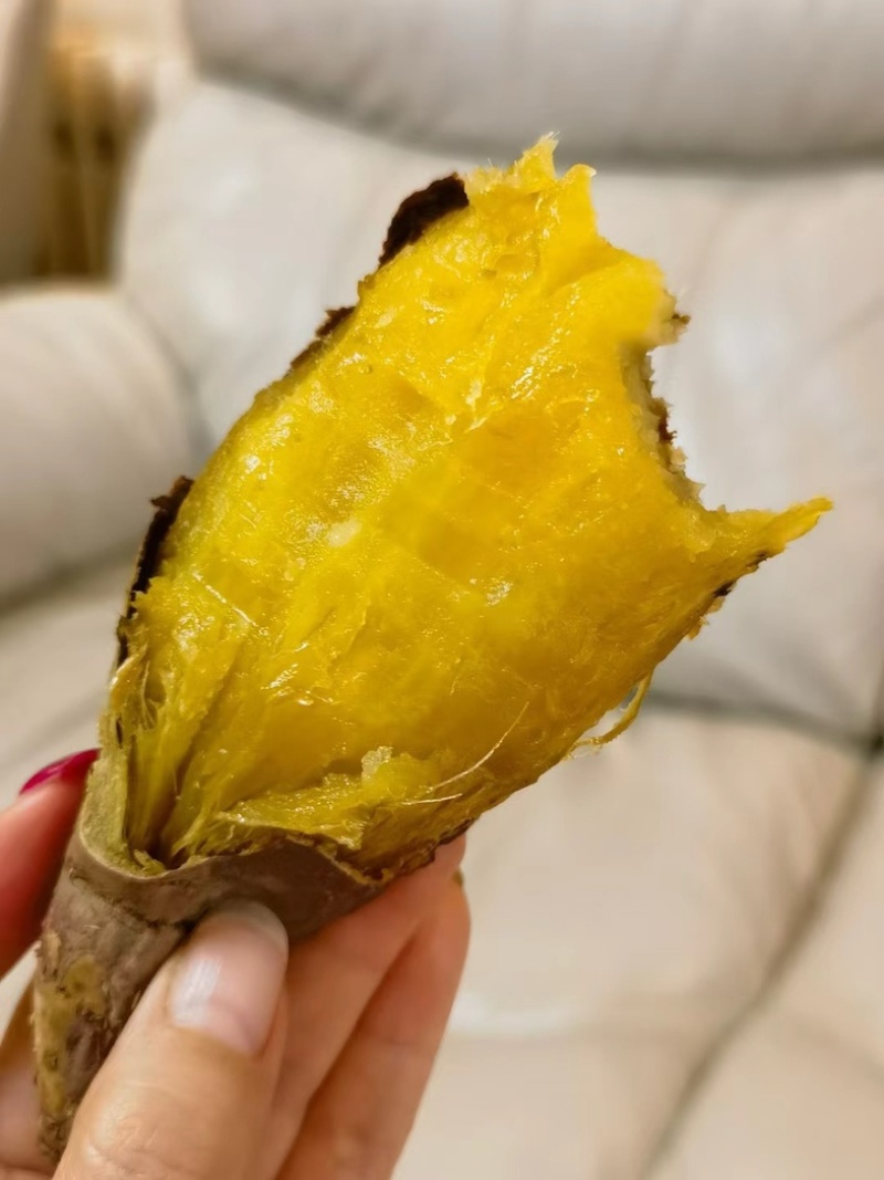 榴莲蜜薯高山高海拔黄金蜜薯软糯丝滑番薯黄心香薯5斤装