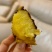 榴莲蜜薯高山高海拔黄金蜜薯软糯丝滑番薯黄心香薯5斤装