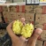 榴莲蜜薯高山高海拔黄金蜜薯软糯丝滑番薯黄心香薯5斤装