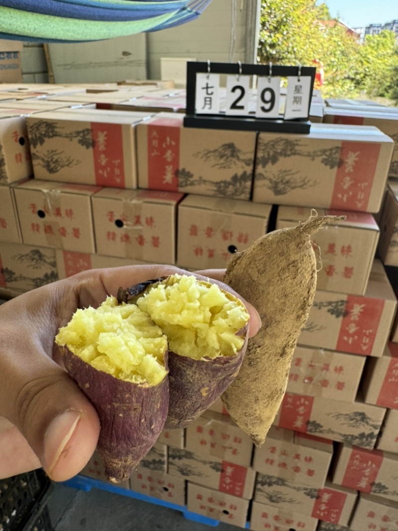 榴莲蜜薯高山高海拔黄金蜜薯软糯丝滑番薯黄心香薯5斤装
