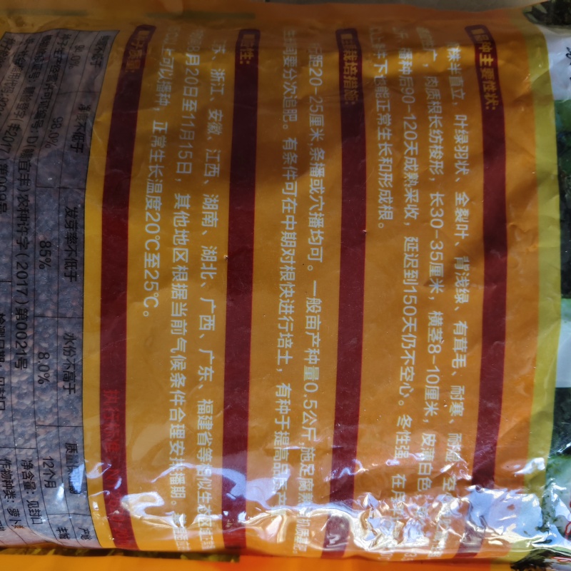 南畔洲晚萝卜种子耐寒耐湿，皮薄白色空心晚，根长白萝卜种子