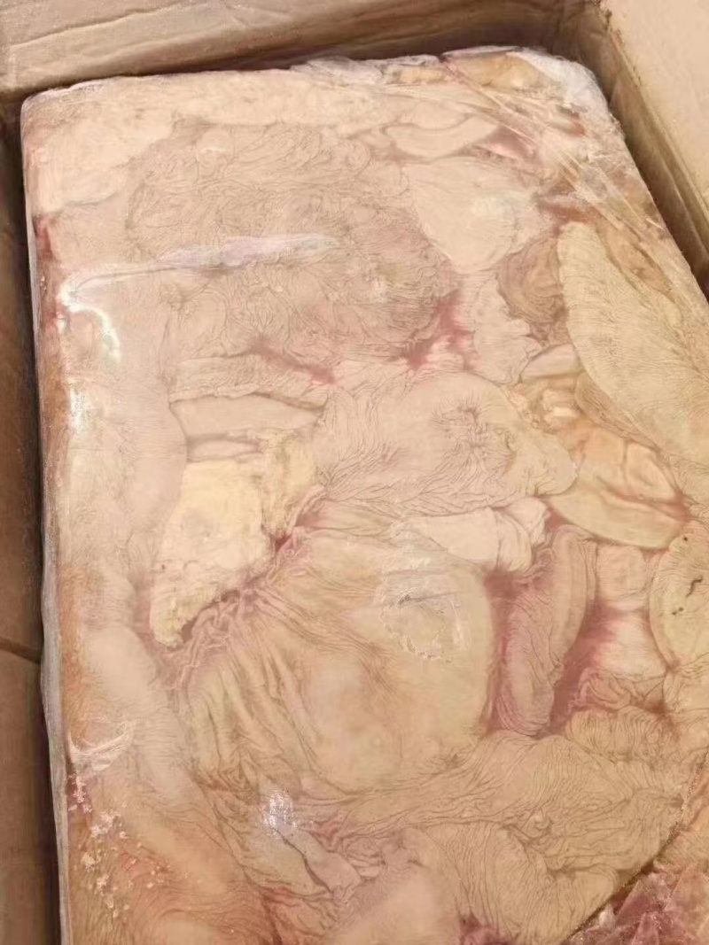 驴板肠