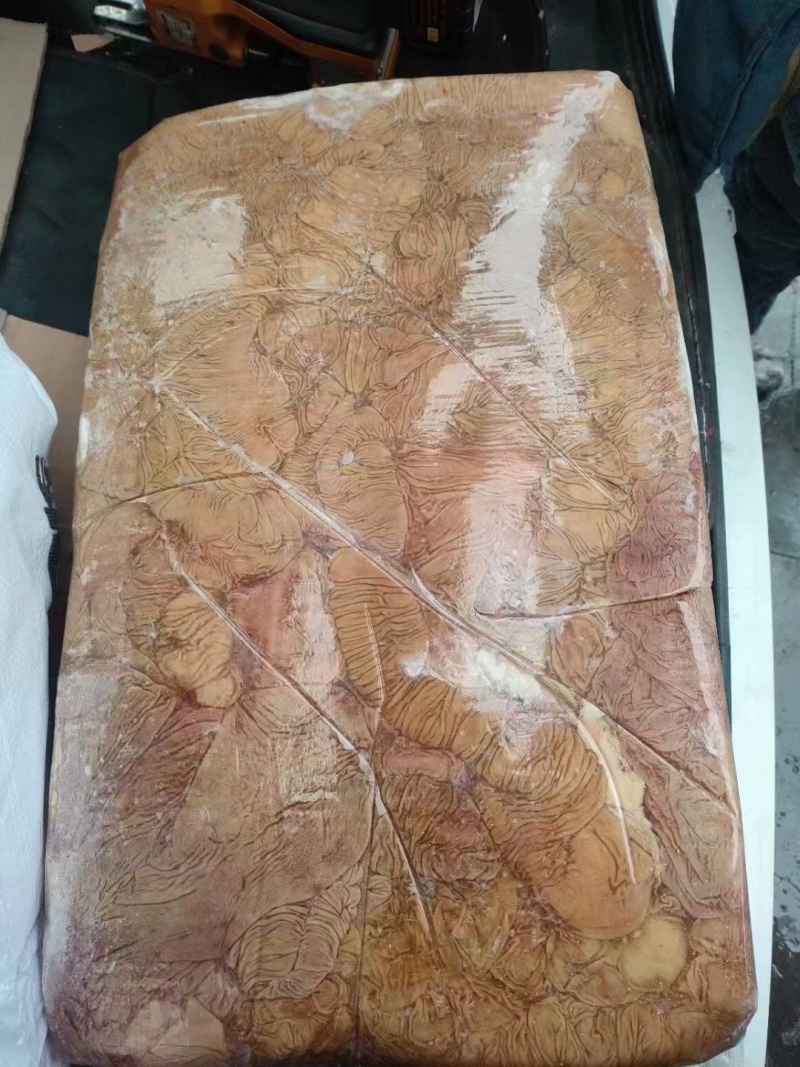 驴板肠