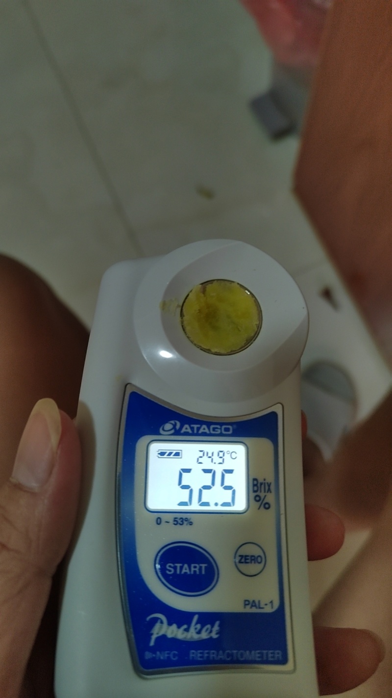 榴莲蜜薯丝滑火山一号嘎嘎漂亮欢迎来电