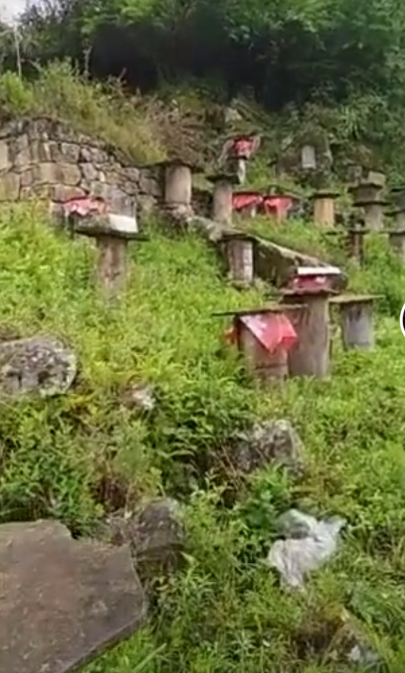 土蜂蜜