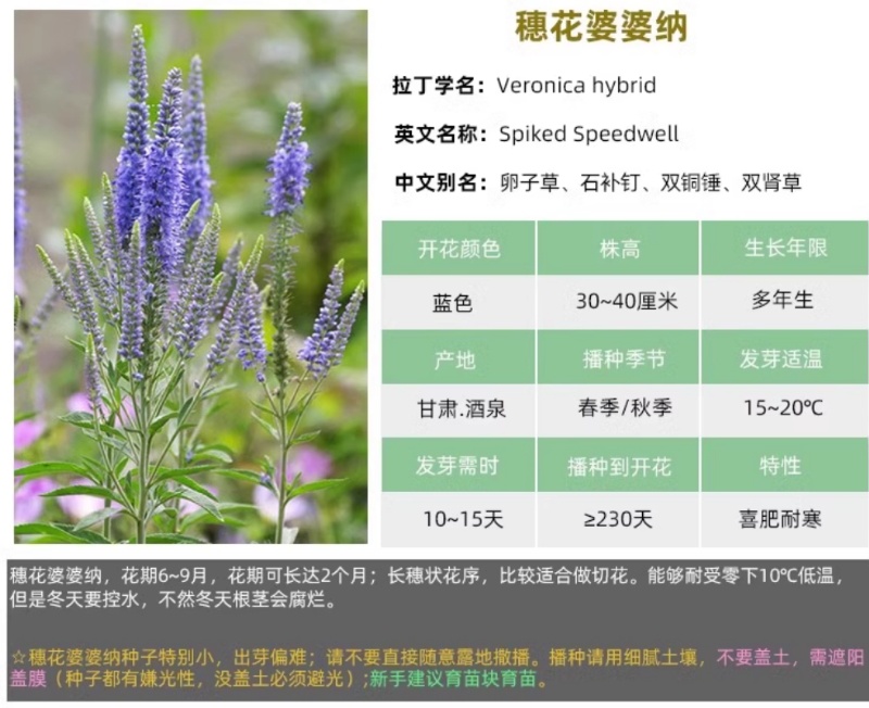 温度大多数花草适宜的生长温度是15~25C，冬季低于5