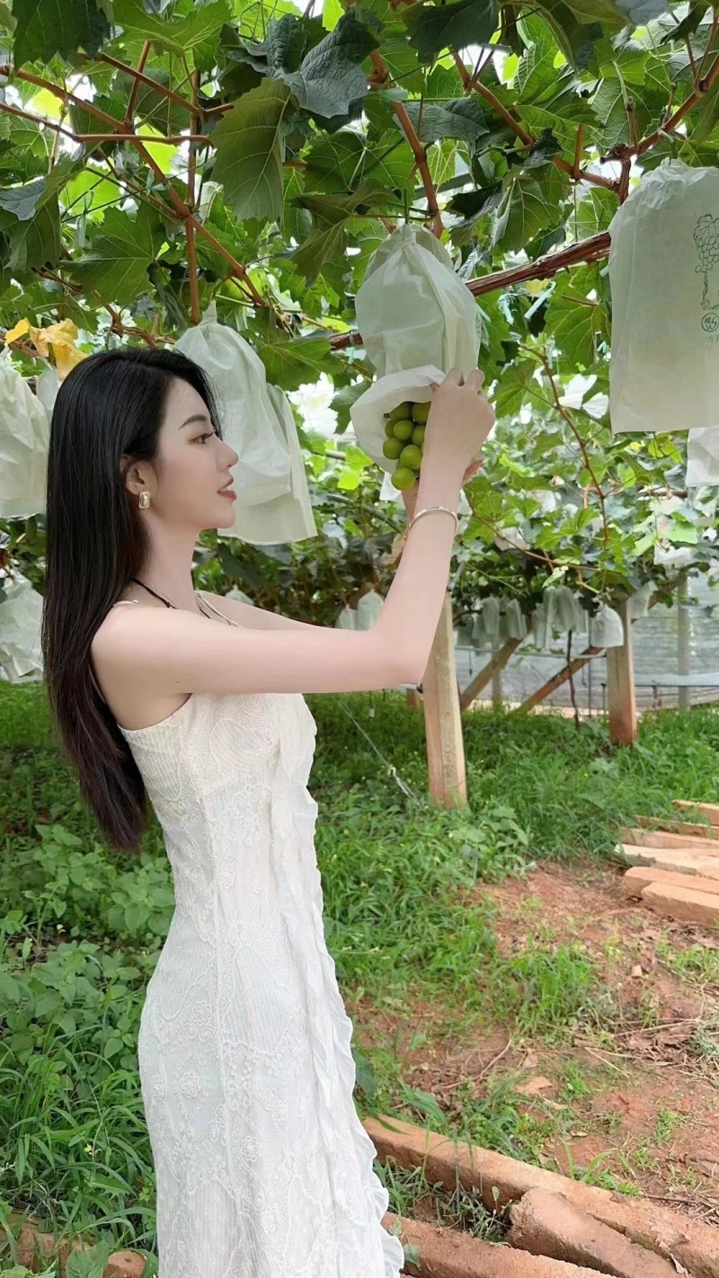 精品【葡萄】阳光玫瑰品质保证个头均匀包熟包甜质优价廉