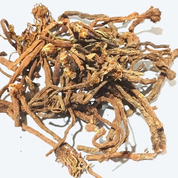 蒲公英纯根公英茶婆婆丁黄花苗根干品