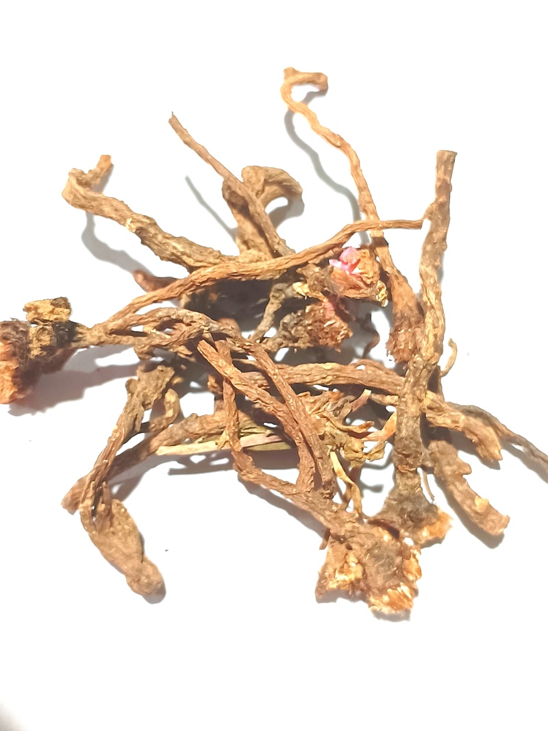蒲公英纯根公英茶婆婆丁黄花苗根干品